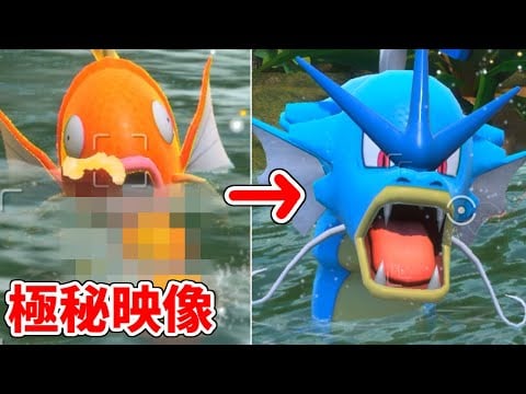 コイキングが進化する瞬間が予想外すぎて笑った New ポケモンスナップ 11 番外 ギャラドス他新ポケ